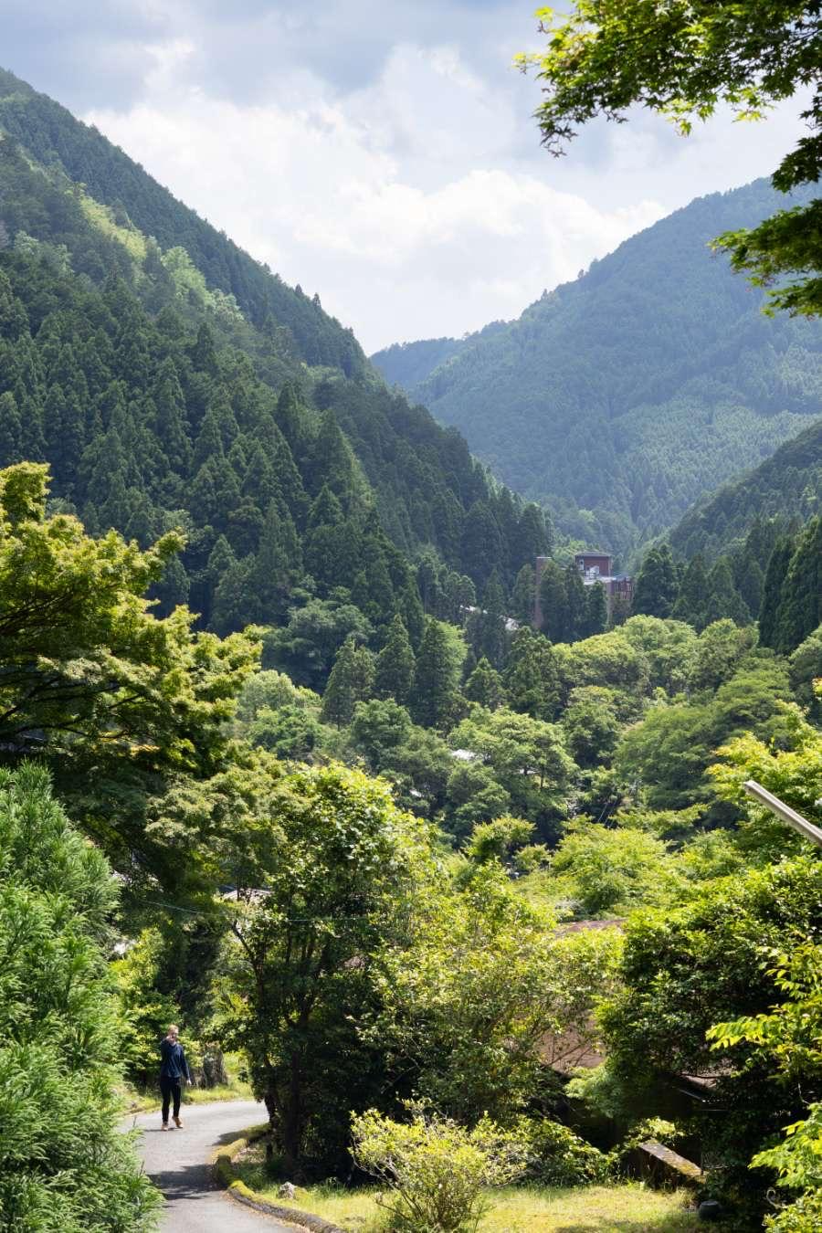 Pointing across a mountain valley in Japan